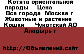 Котята ориентальной пароды  › Цена ­ 12 000 - Все города, Москва г. Животные и растения » Кошки   . Чукотский АО,Анадырь г.